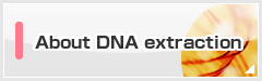 About DNA extraction
