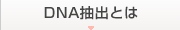 DNA抽出とは